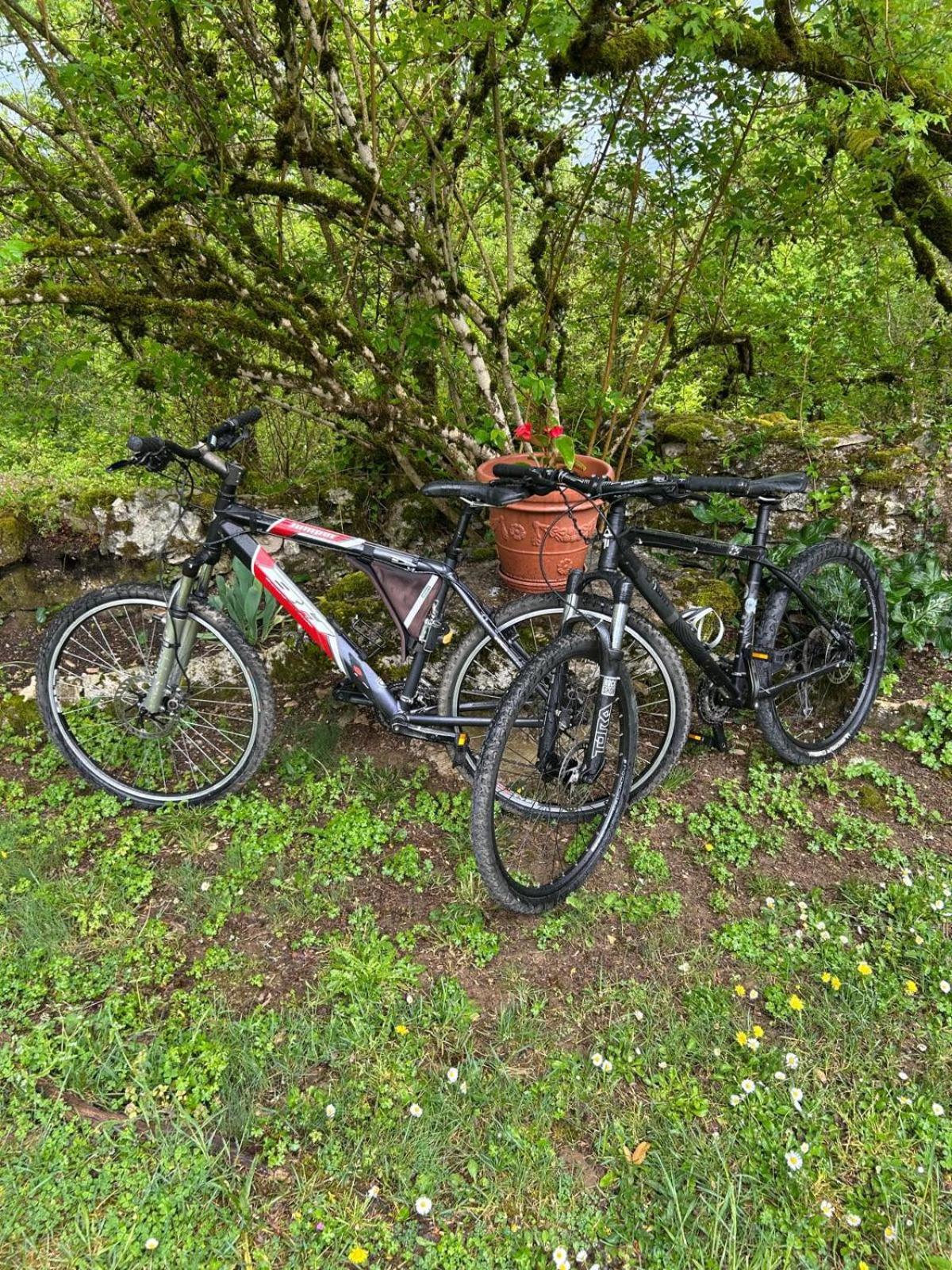 Gites Sur Le Causse De St Chels, Charme Sport Et Detente Saint-Chels 외부 사진