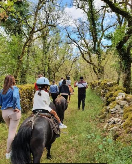 Gites Sur Le Causse De St Chels, Charme Sport Et Detente Saint-Chels 외부 사진